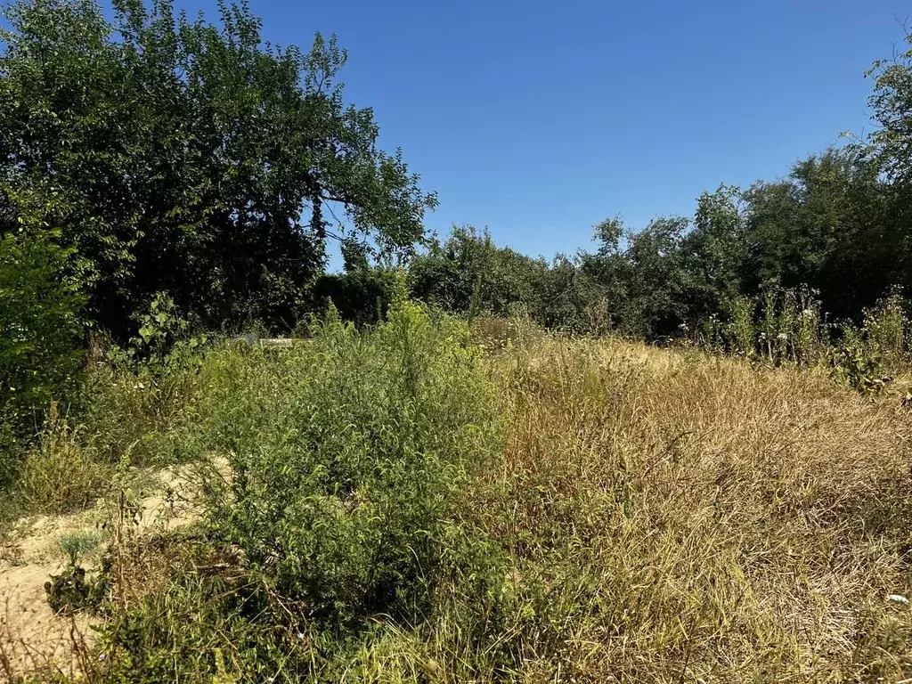 Участок в Краснодарский край, Северский район, Смоленское с/пос, ... - Фото 2