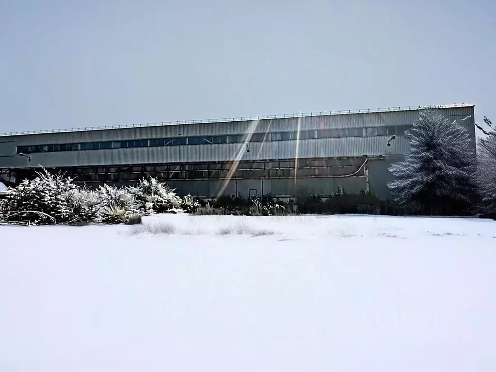 Производственное помещение в Самарская область, Новокуйбышевск ул. ... - Фото 1