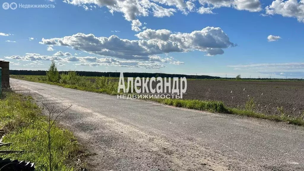 Участок в городской посёлок Фёдоровское, Хорошая улица (12 м) - Фото 1