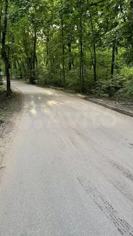 Участок 11,6 сот. (СНТ, ДНП) - Фото 1