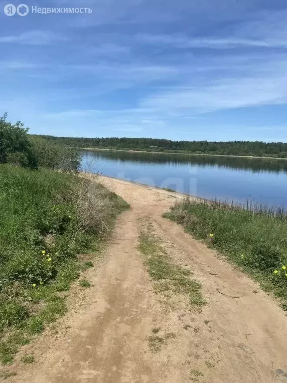 Участок в Ярославская область, Тутаевский муниципальный округ, ДНТ ... - Фото 2