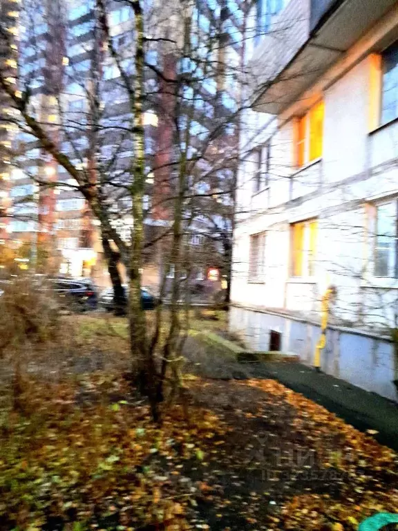 Комната Московская область, Одинцово Садовая ул., 26 (15.0 м) - Фото 1