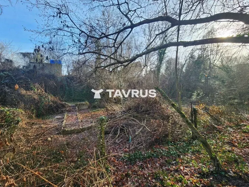 Участок в Крым, Симферопольский район, Перовское с/пос, Мелиоратор ... - Фото 2