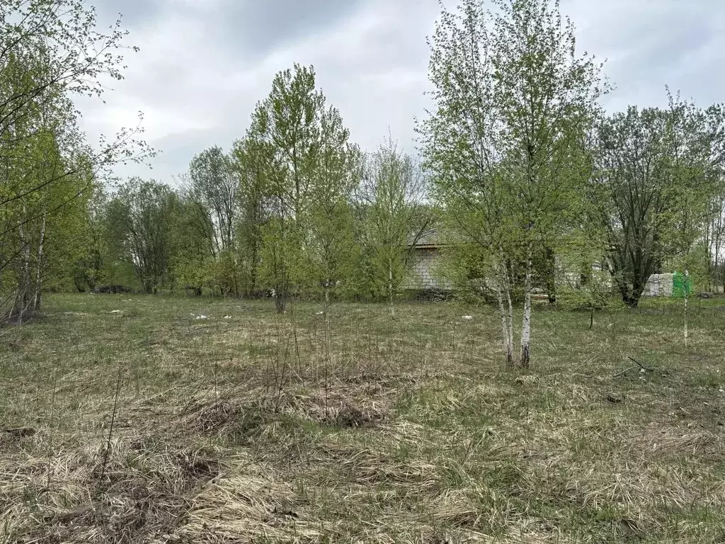 Участок в Московская область, Воскресенск городской округ, с. Ашитково ... - Фото 1