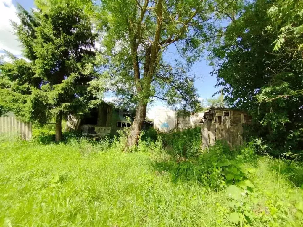 Участок в Калужская область, Медынь ул. Коммуны, 47 (7.87 сот.) - Фото 2