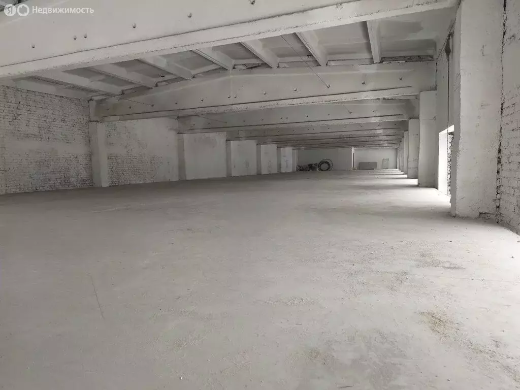 Помещение свободного назначения (270 м) - Фото 2