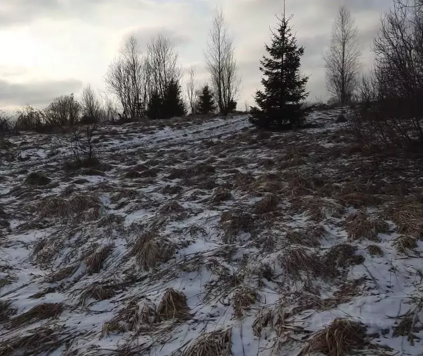 Участок в Московская область, Можайский муниципальный округ, д. ... - Фото 0