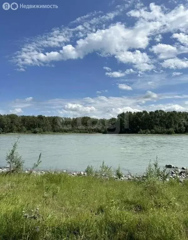 Участок в Майминский район, село Подгорное, улица Прибрежная (31 м) - Фото 2
