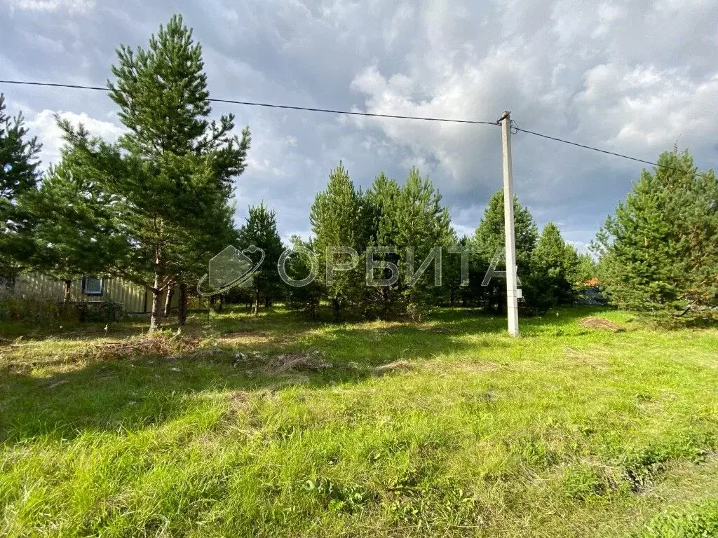 Участок в Тюменская область, Тюменский район, д. Елань ул. Югорская, ... - Фото 1