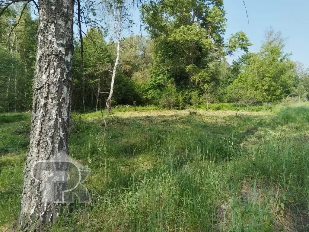 Участок в Московская область, Клин городской округ, с. Воздвиженское  ... - Фото 0