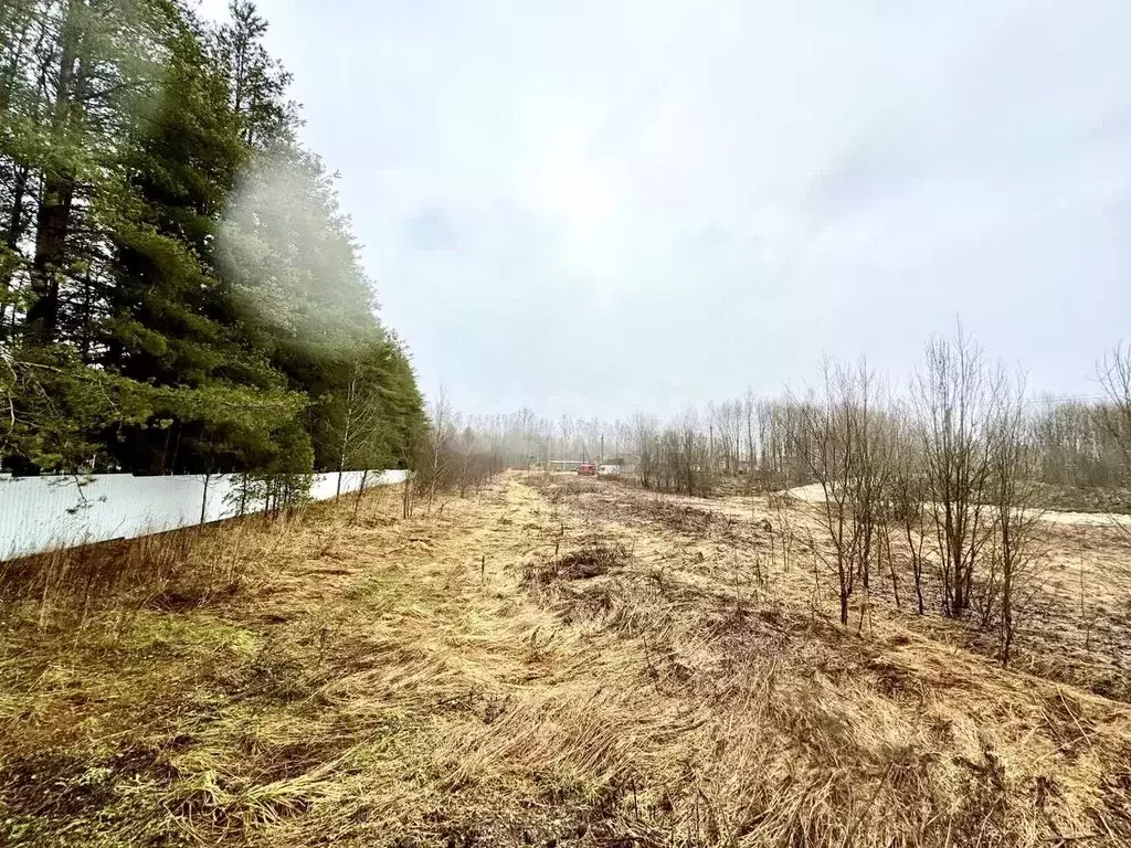Участок в Ленинградская область, Ломоносовский район, Лопухинское ... - Фото 1