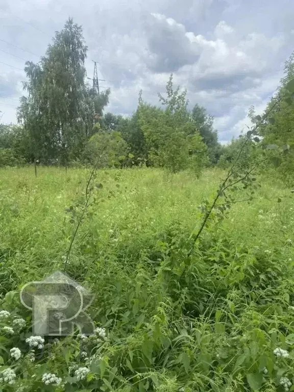 Участок в Московская область, Домодедово городской округ, д. Гальчино  ... - Фото 2