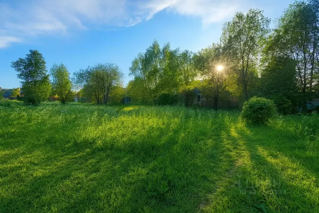 Участок в Московская область, Истра муниципальный округ, д. Котово  ... - Фото 1