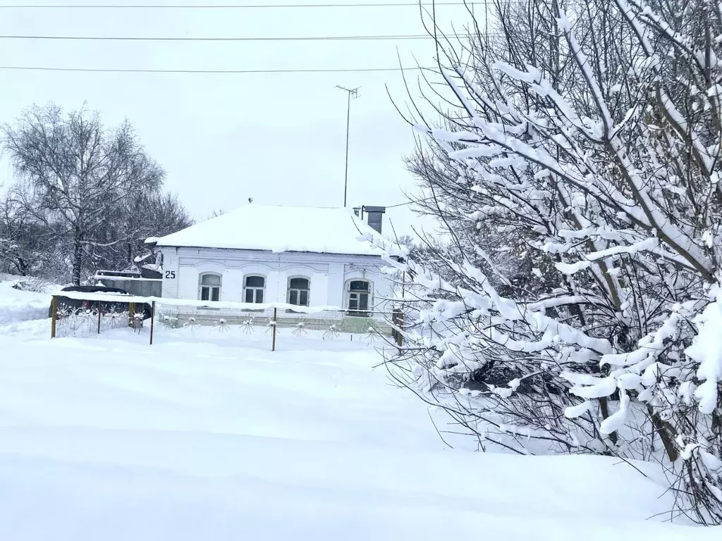 Дом в Тамбовская область, Моршанский муниципальный округ, д. ... - Фото 1