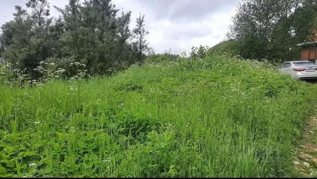 Участок в Калужская область, Боровский муниципальный округ, Совьяки ... - Фото 1