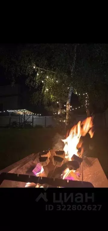 Дом в Московская область, Домодедово городской округ, с. Битягово, ... - Фото 2