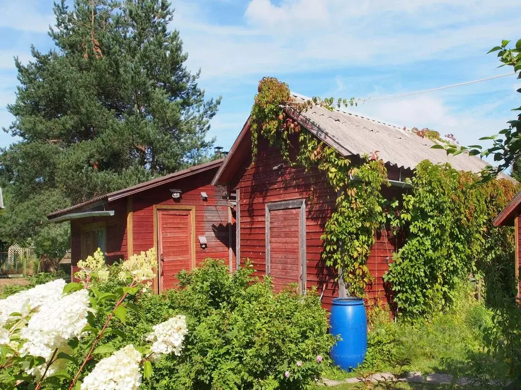 Дом в Ленинградская область, Выборгский район, Рощинское городское ... - Фото 2