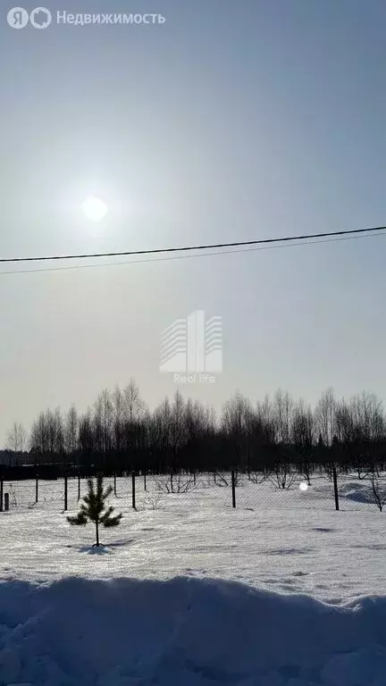 Участок в Московская область, городской округ Ступино, село Ивановское ... - Фото 1