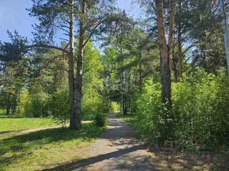 Участок в Пермский край, Добрянский городской округ, д. Залесная  ... - Фото 1