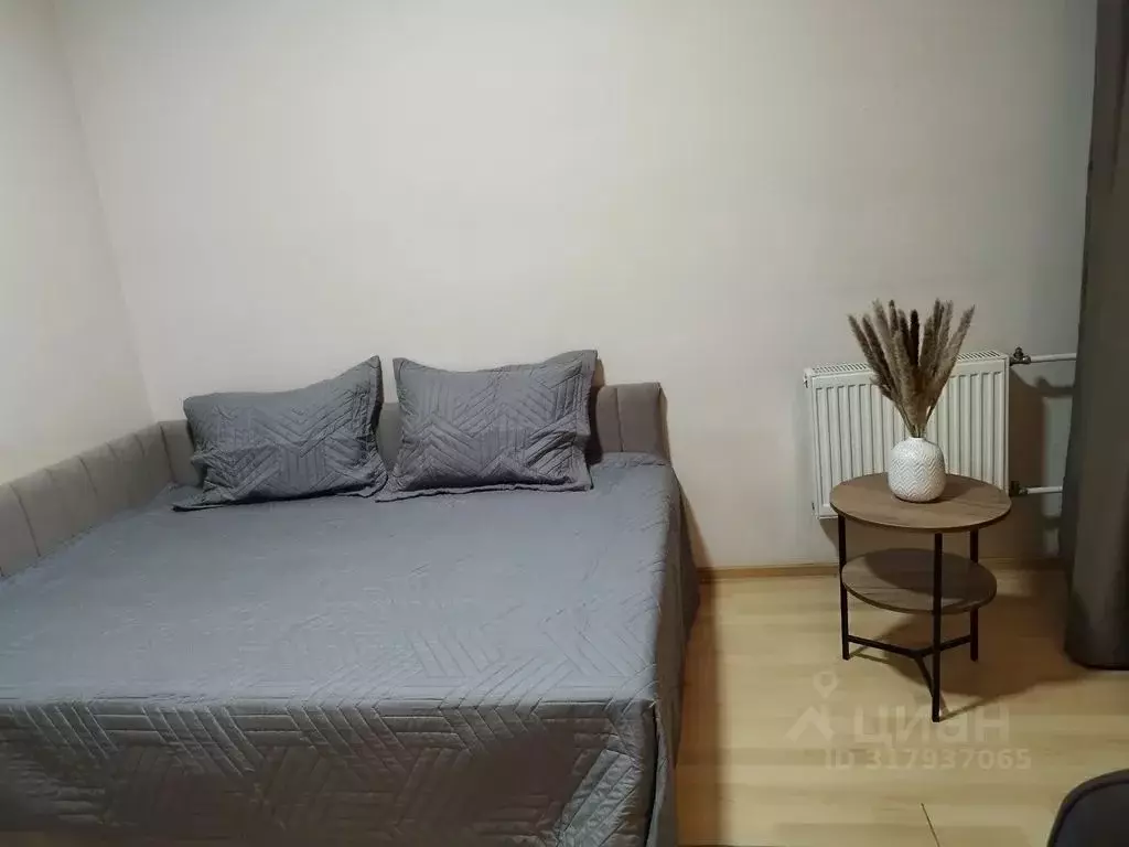 Студия Санкт-Петербург ул. Латышских Стрелков, 1 (27.0 м) - Фото 1