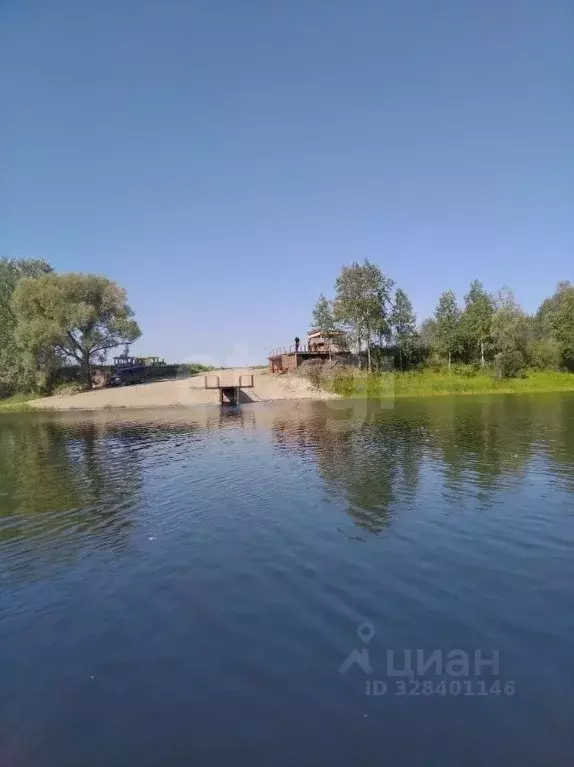 Участок в Новосибирская область, Колыванский район, Сибирская Волость ... - Фото 2