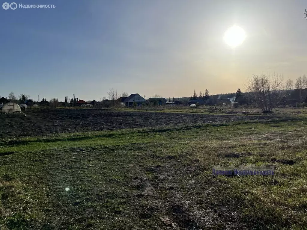 Участок в Алтайский край, городской округ Барнаул, посёлок Ягодное, ... - Фото 2