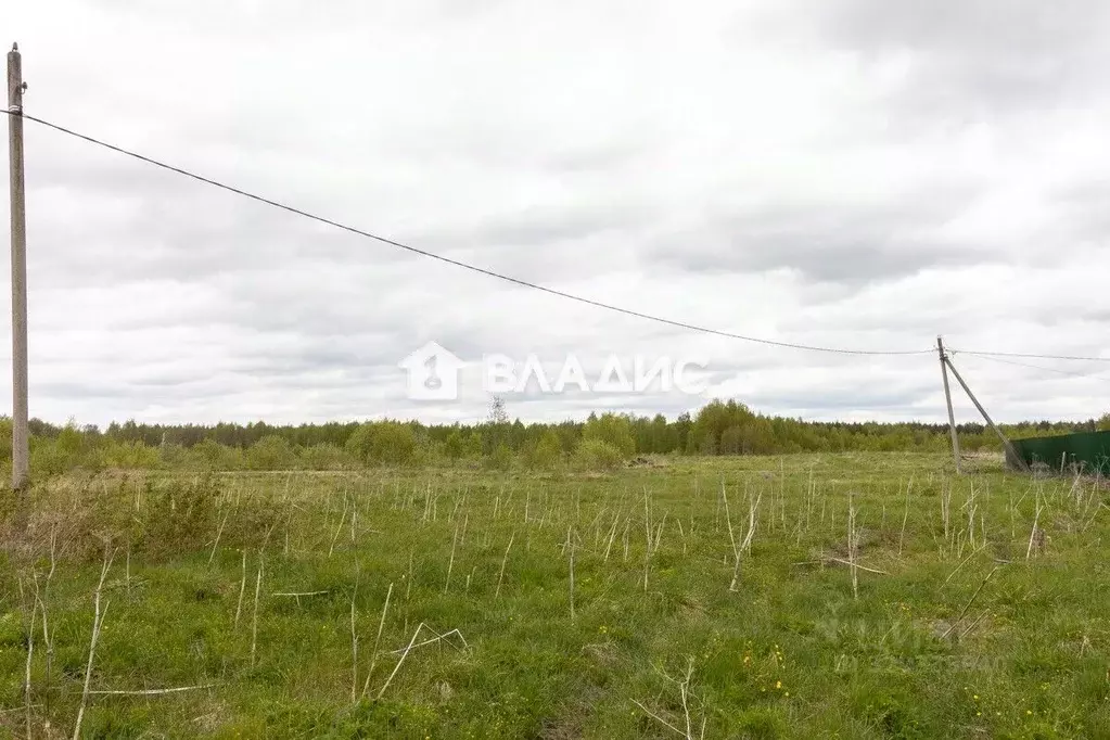 Участок в Владимирская область, Судогодский муниципальный округ, д. ... - Фото 2