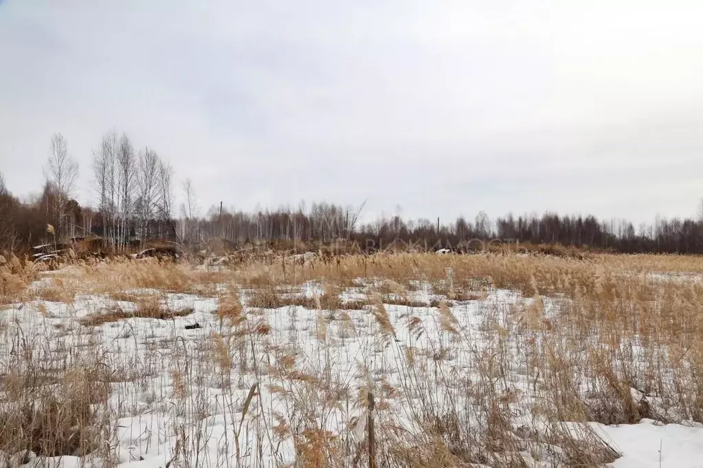 Участок в Тюменская область, Нижнетавдинский район, Строитель ТСН ул. ... - Фото 1
