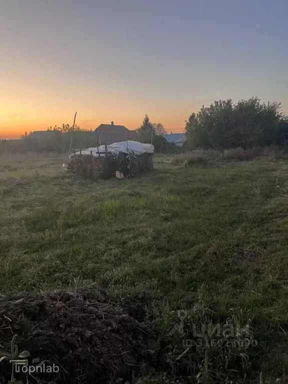 Участок в Тамбовская область, Жердевка ул. Суворова (9.81 сот.) - Фото 2