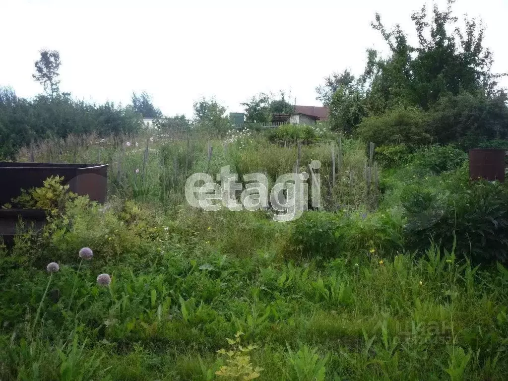 Участок 8,1 сот. (СНТ, ДНП) - Фото 1