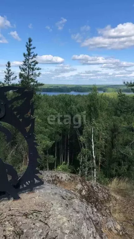 Участок в Карелия, Питкяранта ул. Пушкина (15.0 сот.) - Фото 1