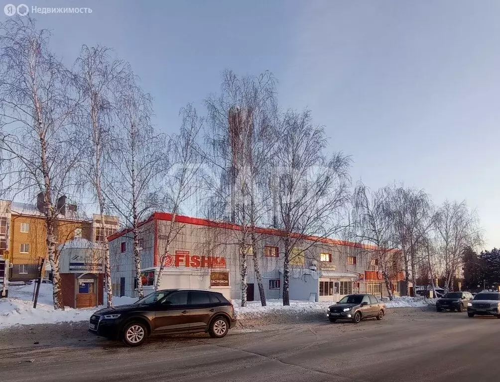 Помещение свободного назначения (170 м) - Фото 1