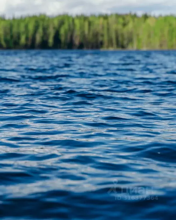 Участок в Ленинградская область, Приозерский район, Ромашкинское ... - Фото 1