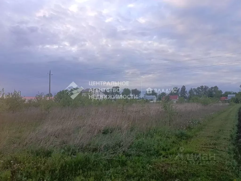 Участок в Рязанская область, Рыбновский муниципальный округ, с. ... - Фото 2