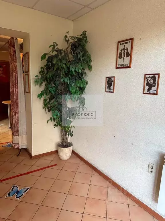 Помещение свободного назначения в Челябинская область, Челябинск ул. ... - Фото 2