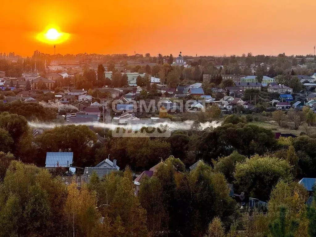 Участок в Тамбовская область, Сосновка рп ул. Гагарина, 26 (13.0 сот.) - Фото 0