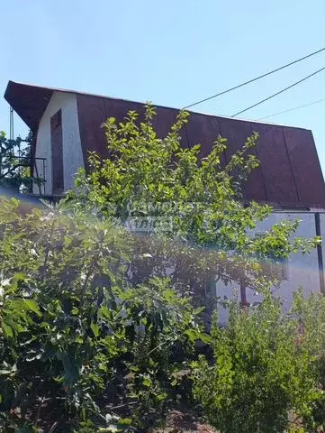 Участок 6,1 сот. (СНТ, ДНП) - Фото 0
