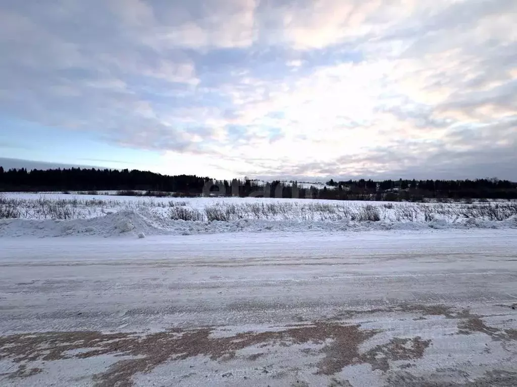 Участок в Вологодская область, Великоустюгский муниципальный округ, д. ... - Фото 1