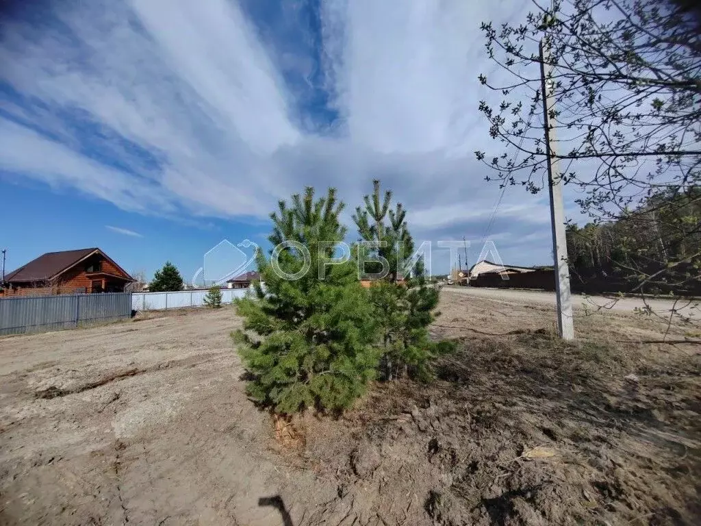 Участок в Тюменская область, Тюменский муниципальный округ, с. Каменка ... - Фото 1