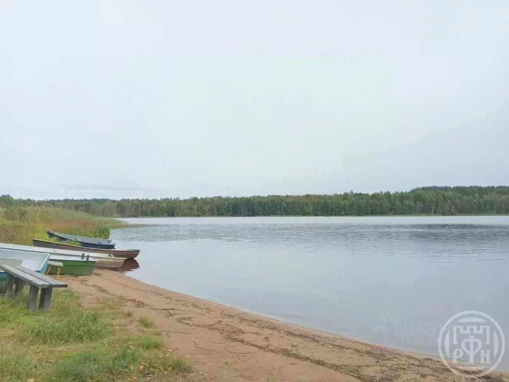 Участок в Ленинградская область, Выборгский район, Красносельское ... - Фото 2