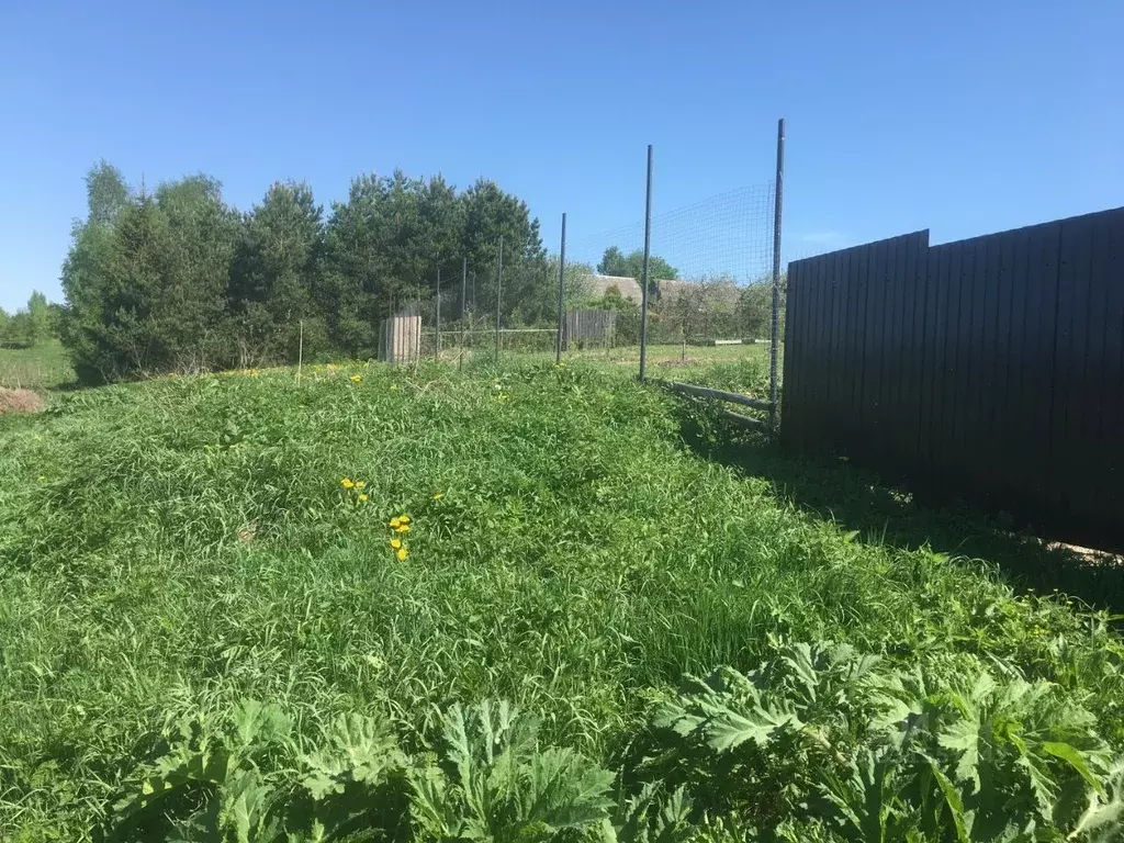 Участок в Московская область, Пушкинский городской округ, д. ... - Фото 1
