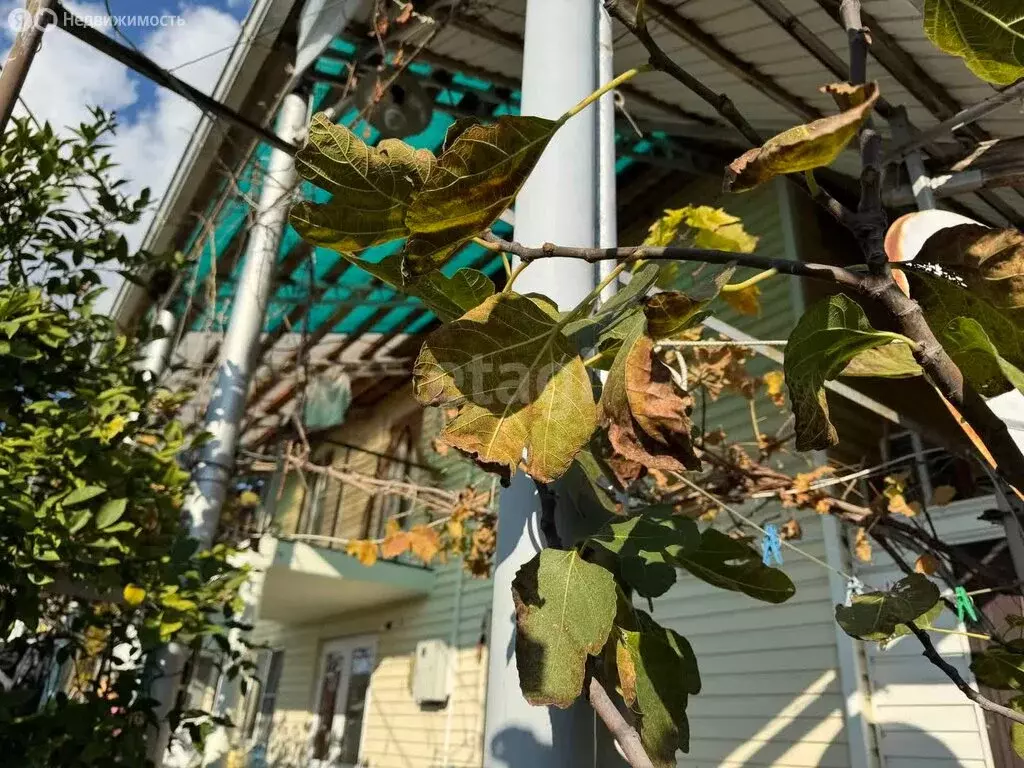 Дом в Краснодарский край, городской округ Сочи, село Нижняя Шиловка ... - Фото 0