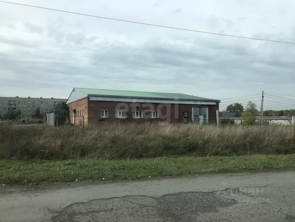 Помещение свободного назначения в Новосибирская область, Новосибирский ... - Фото 1