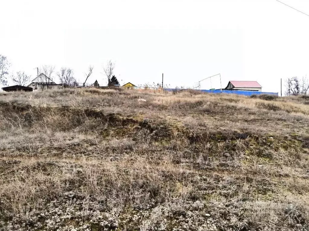 Участок в Волгоградская область, Городищенский район, Паньшинское ... - Фото 1