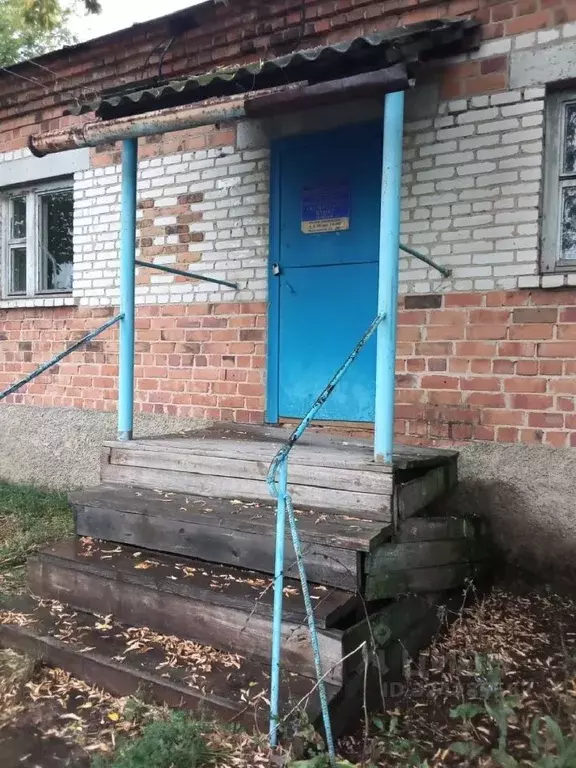 Помещение свободного назначения в Курганская область, Куртамышский ... - Фото 1