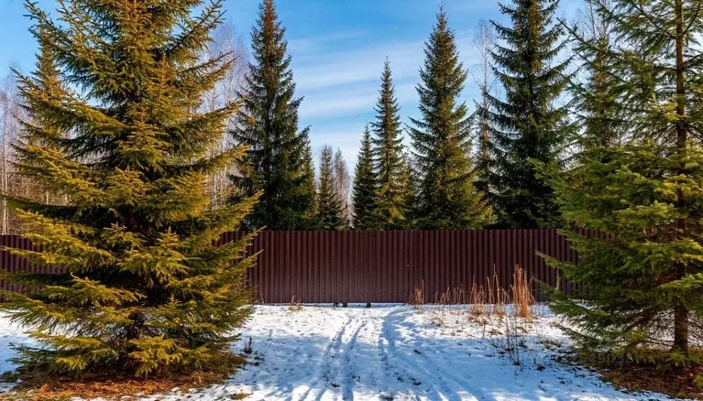 Участок в Московская область, Истра муниципальный округ, Снегири пгт ... - Фото 1
