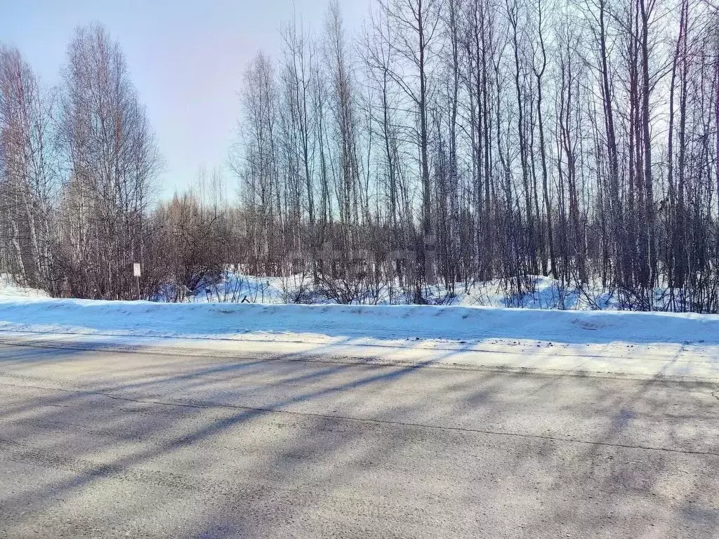 Участок в Тюменская область, Нижнетавдинский муниципальный округ, ... - Фото 1