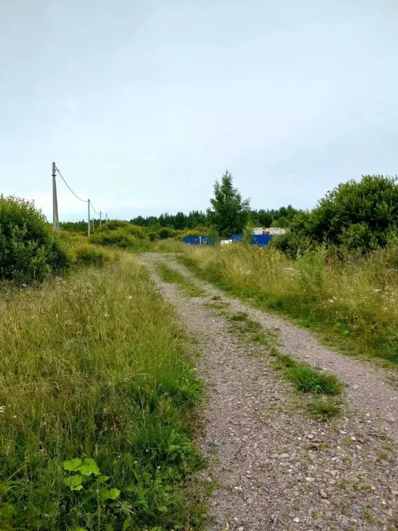 Участок в Новгородская область, Старая Русса ул. Береговая (12.0 сот.) - Фото 1