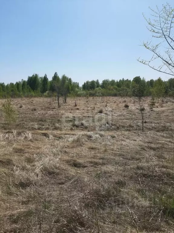 Участок в Курганская область, Шадринск Тюменская ул. (10.3 сот.) - Фото 0