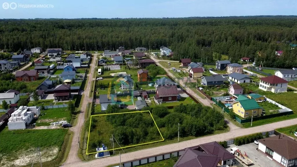 Участок в Колтушское городское поселение, массив Крестьянские Покосы ... - Фото 1